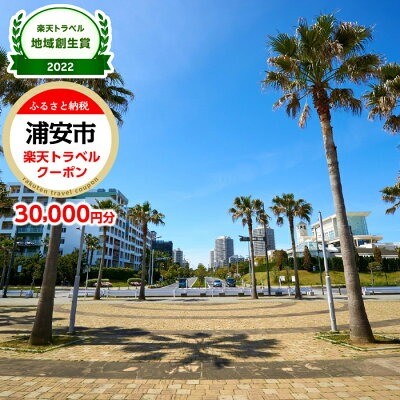楽天ふるさと納税「千葉県浦安市 寄付金額10万円」