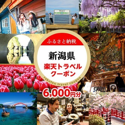 楽天ふるさと納税「新潟県 寄付金額2万円」
