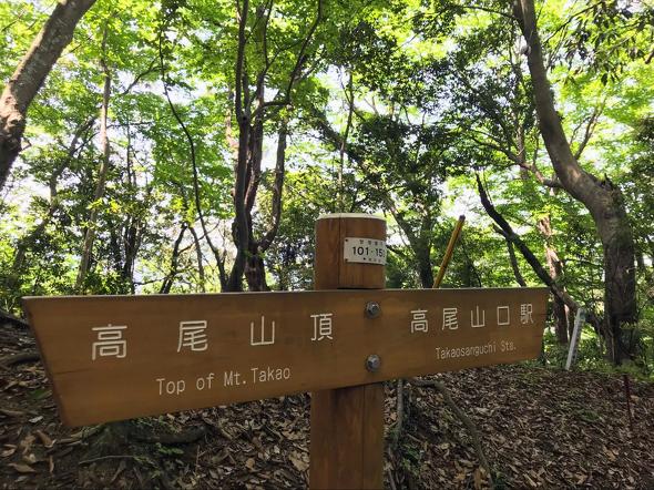 関東で登山者が多い山