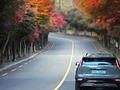【紅葉】箱根在住者がおすすめする「秋の穴場スポット」4選　混雑を避けて、箱根の紅葉を楽しむ　11月が見頃