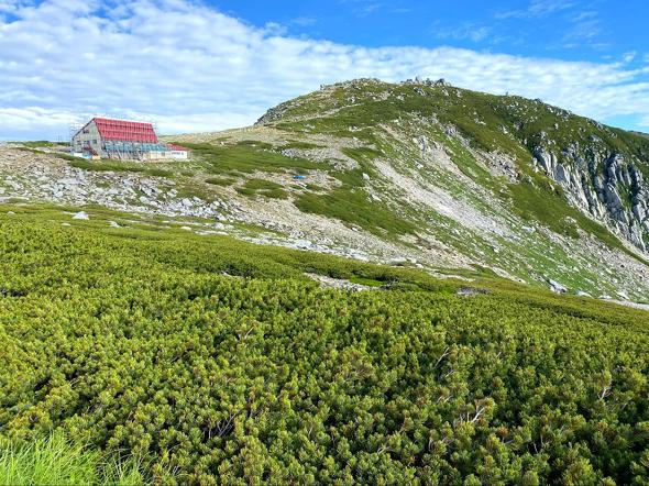 「甲信越エリア」で登山者が多い山