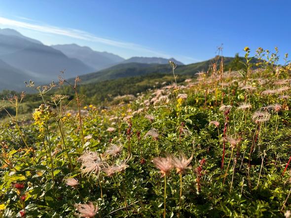 雲ノ平登山レポ