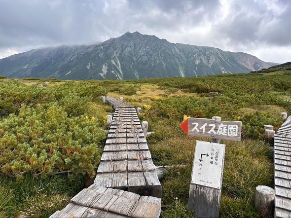 雲ノ平登山レポ