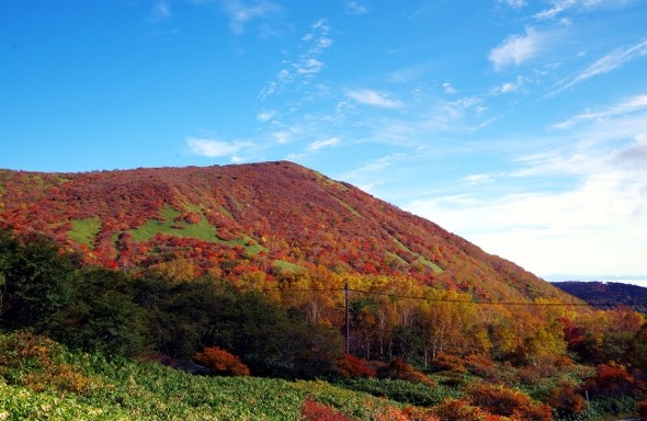首都圏からアクセスしやすい紅葉登山スポット