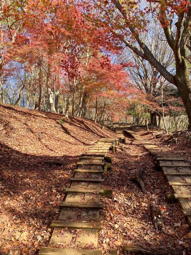 首都圏からアクセスしやすい紅葉登山スポット