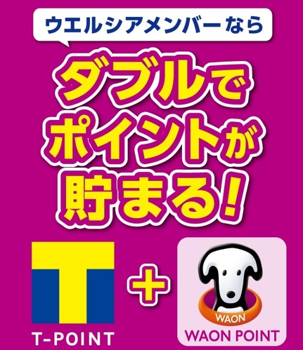フォト