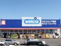 【ポイ活】最強のポイ活「ウエル活」をさらにお得にする方法 WAON POINTをザクザクためて、賢い買い物を