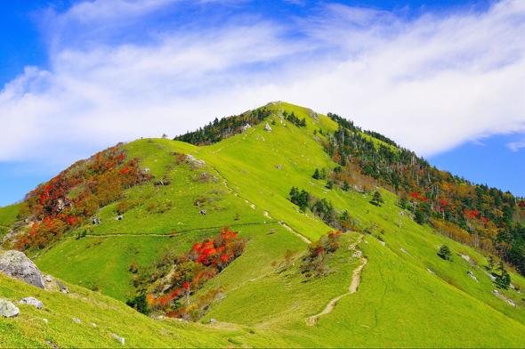 全国版・人気急上昇した山