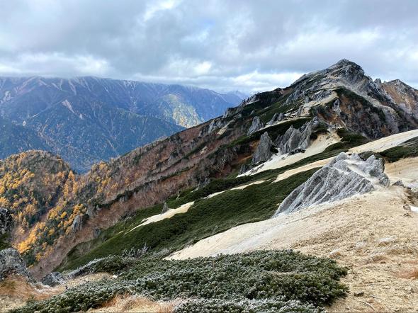 全国版・人気急上昇した山