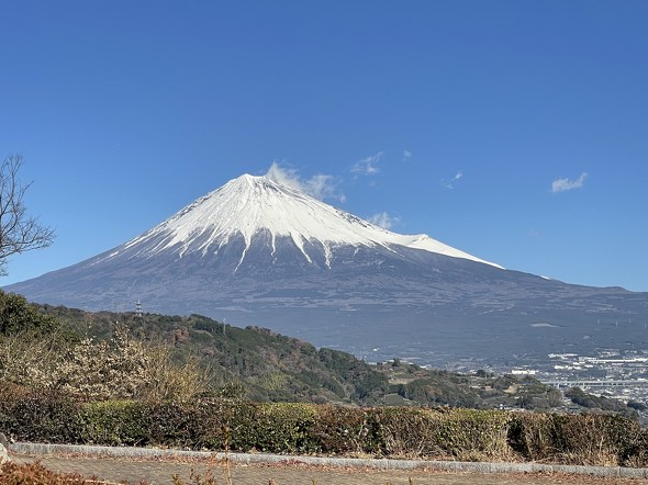 全国版・人気急上昇した山