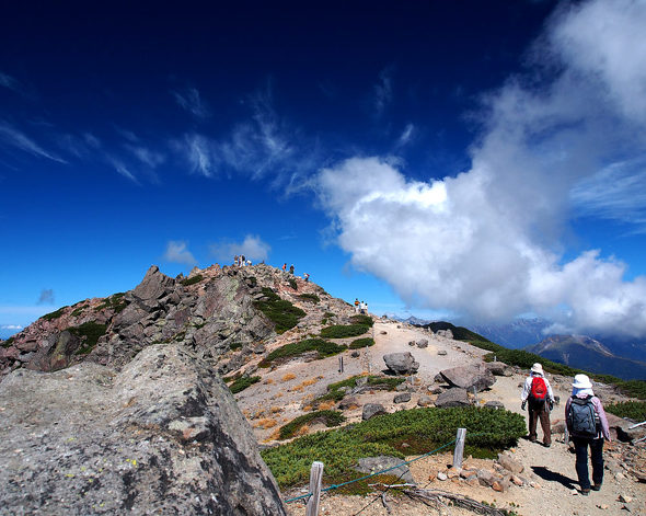全国版・人気急上昇した山