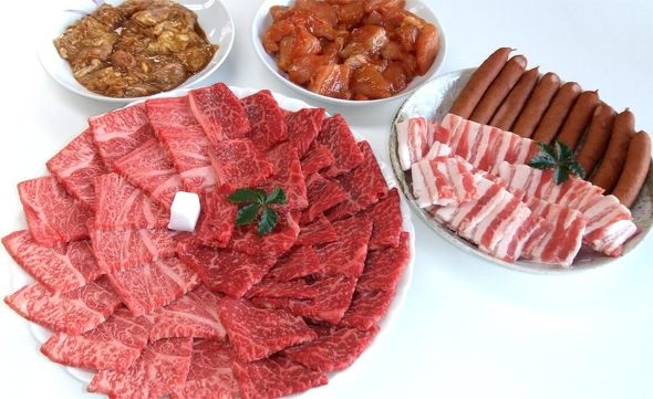 バーベキュー食材セット：肉のひぐち「飛騨牛・国産豚肉・国産若鶏肉・国産豚 ホルモン・明宝フランク バーベキューセット」