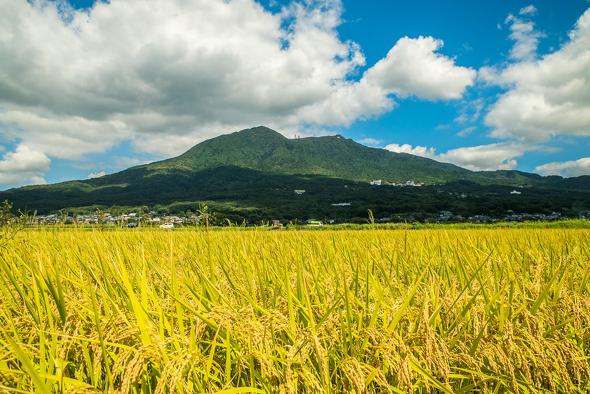 初心者が挑戦しやすい日本百名山