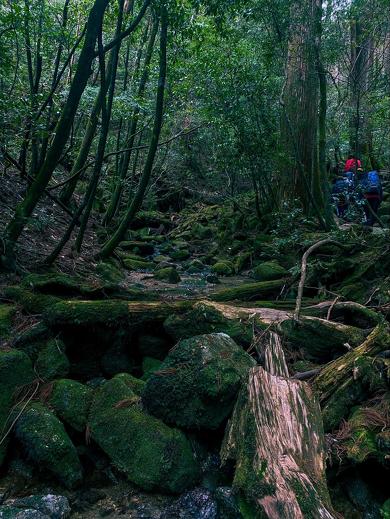 山登りも楽しめる旅行先