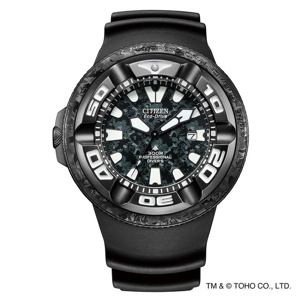 BJ8056-01E
