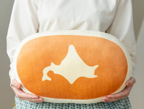 宝島社「北海道チーズ蒸しケーキFAN BOOK」