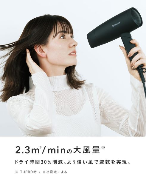 サロニア「スピーディーイオンドライヤー SL-013GR」