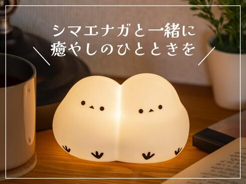 宝島社「雪の妖精 シマエナガお部屋ライトBOOK」