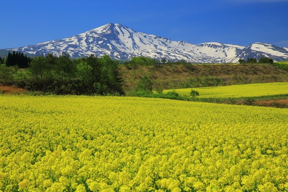 2024年に挑戦したい東日本の日本百名山