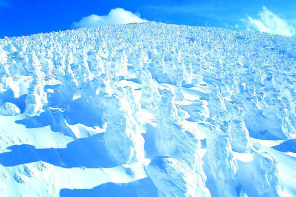 雪景色がきれいな山