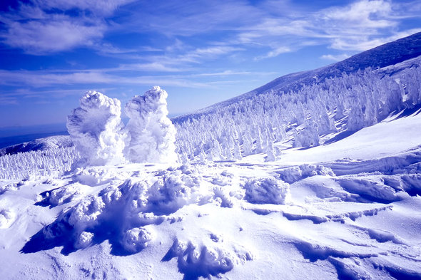 雪景色がきれいな山