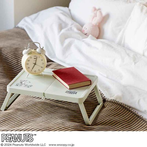 宝島社「SNOOPY 軽くて万能！ 折りたたみピクニックテーブルBOOK」