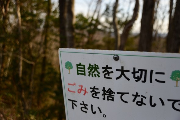フォト