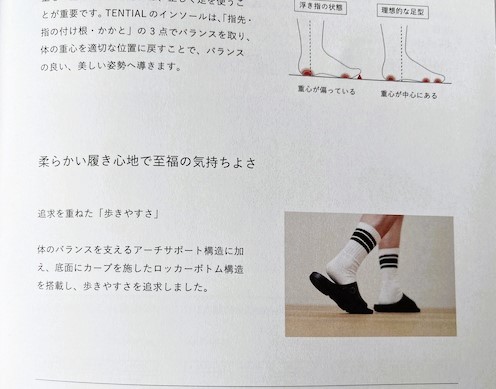 フォト