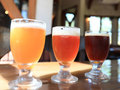 「クラフトビール」売れ筋ランキング＆おすすめピックアップ　ちょっとリッチに！【2024年5月版】