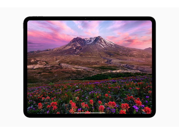 iPad