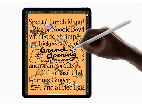 iPad