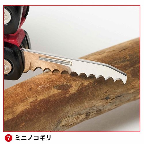 フォト