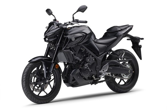 フォト
