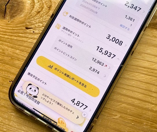 フォト