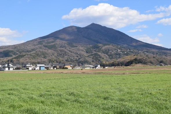 フォト