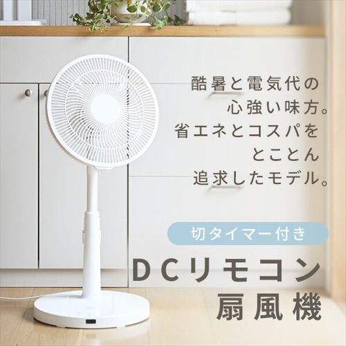 山善 YLR-YD30E