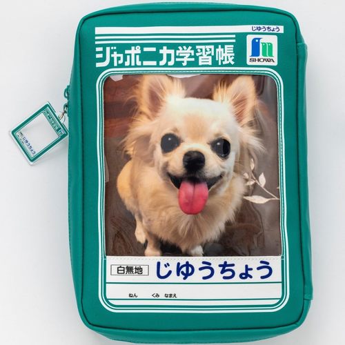 フォト