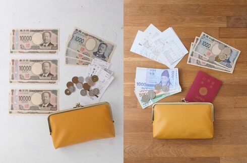 宝島社「づんの家計簿 づんの「コレが欲しかった!」お金が貯まる お財布ポーチ」