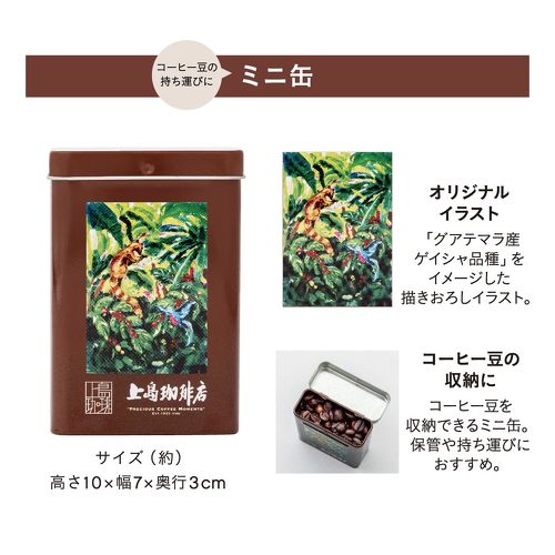 フォト