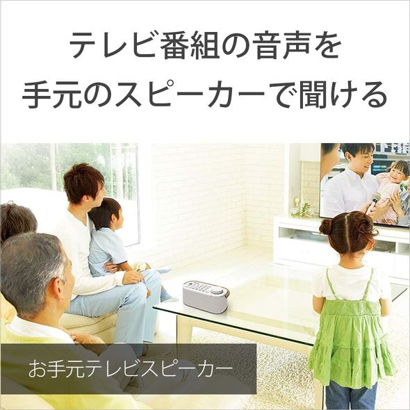 ソニー お手元TVスピーカー SRS-LSR200