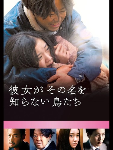 フォト