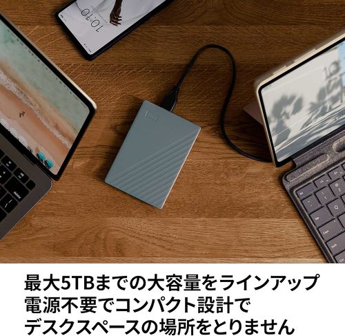ウエスタンデジタルMy Passport WDBRMD0040BGY-WESN