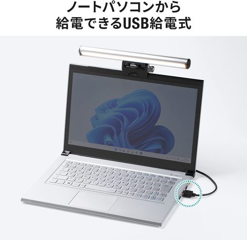サンワダイレクト 800-LED053