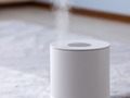 「加湿器」を一晩中つけると、電気代はどれくらいかかる？　FPが加湿器の電気代をタイプ別に比較して回答【2024年11月版】