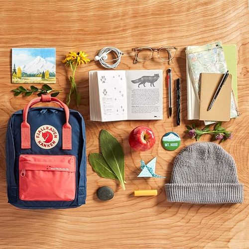 フェールラーベン Kanken Mini