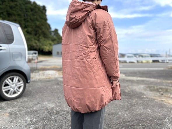 写真は2024年に購入したアプリコットピンク