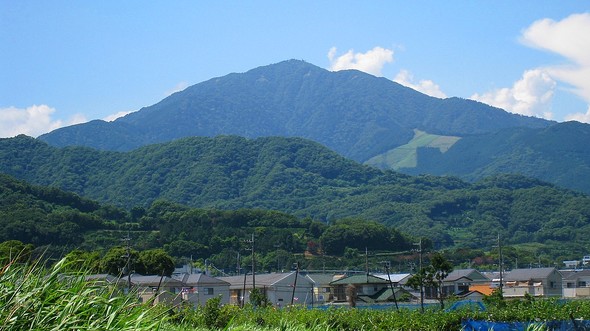 フォト