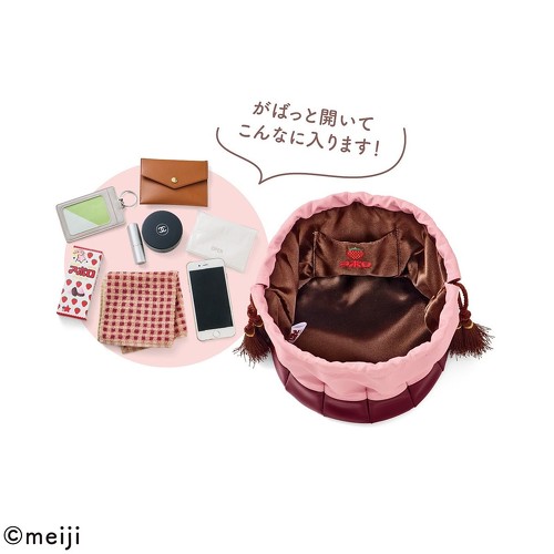 ビッグなアポロのきんちゃくバッグ