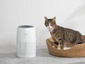 空気清浄機の電気代ってどれくらい？ 人気モデルの電気代を比較してみた【2025年1月版】