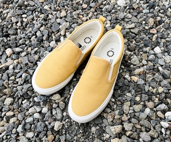 フォト